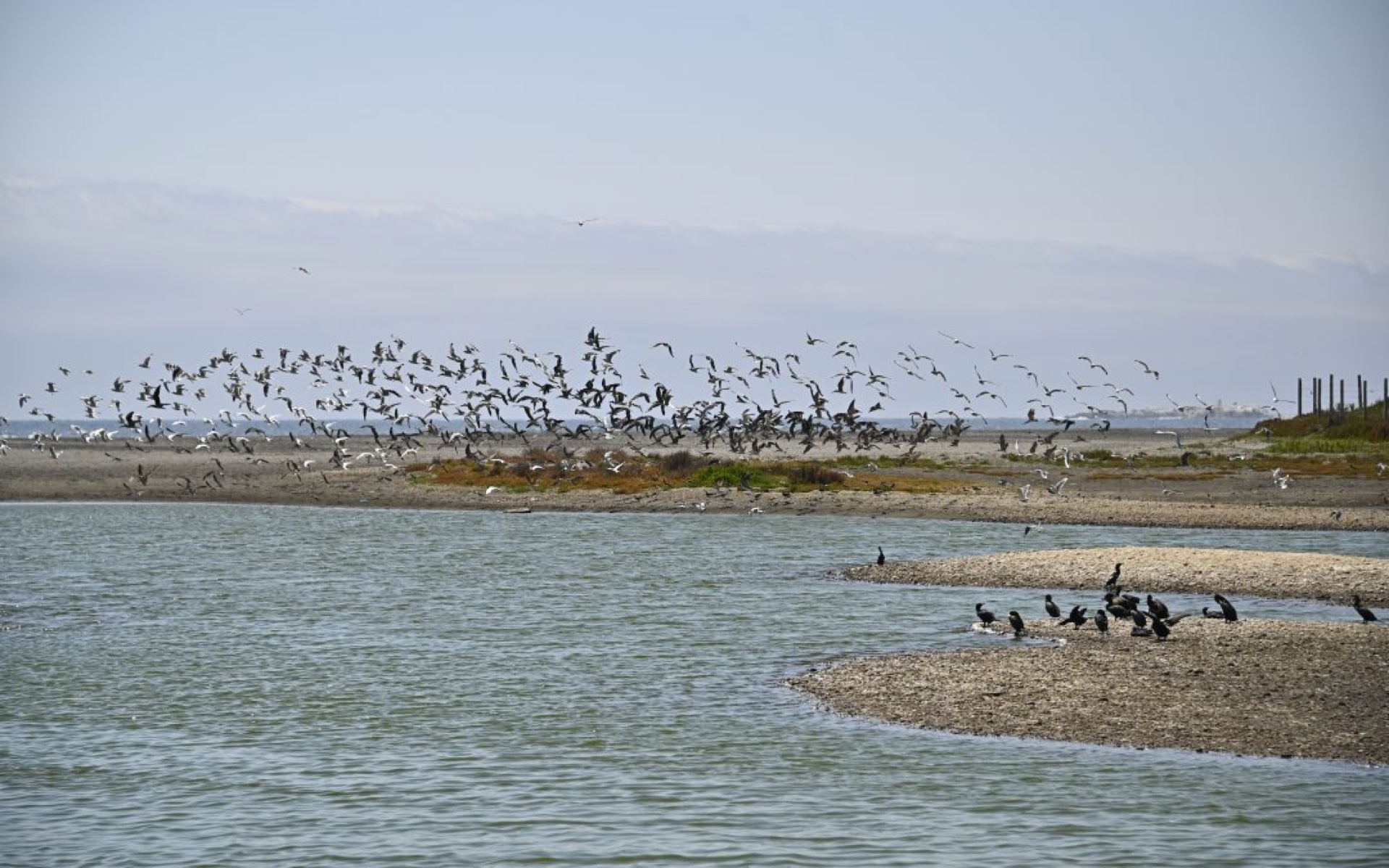 Turismo regenerativo Valparaíso